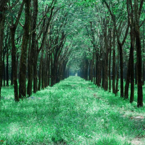 療癒他人之前，先學會療癒自己